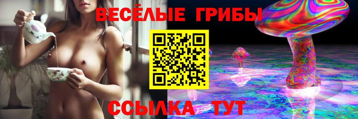 Котельники  Галлюциногенные грибы Psilocybine cubensis  Вход с VPN 